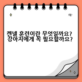켄넬 훈련이란 무엇일까요?  강아지에게 꼭 필요할까요?