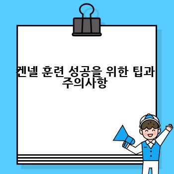 켄넬 훈련 성공을 위한 팁과 주의사항