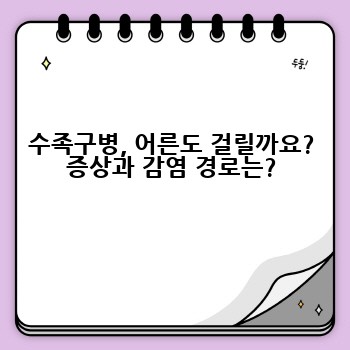 수족구병, 어른도 걸릴까요? 증상과 감염 경로는?