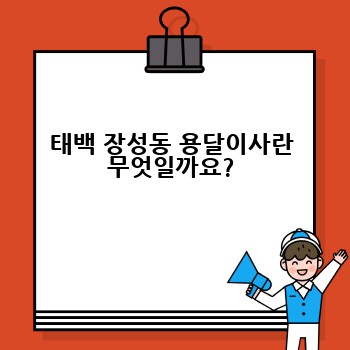 태백 장성동 용달이사란 무엇일까요?