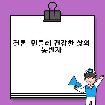 결론  민들레 건강한 삶의 동반자