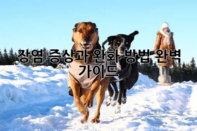 장염 증상과 완화 방법 완벽 가이드