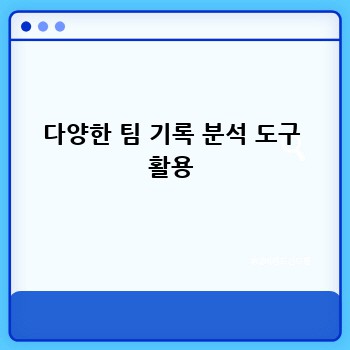 다양한 팀 기록 분석 도구 활용