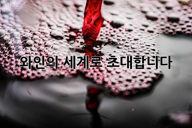 와인의 세계로 초대합니다🍷