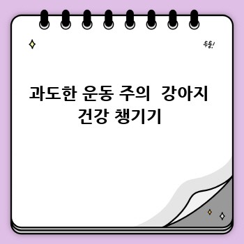 과도한 운동 주의  강아지 건강 챙기기