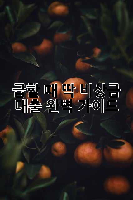 급할 때 딱! 비상금 대출 완벽 가이드