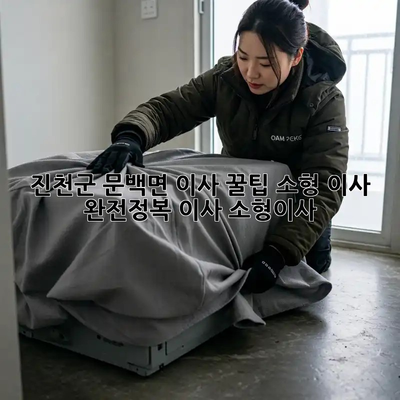 진천군 문백면 이사 꿀팁🍯 소형 이사 완전정복! #이사 #소형이사