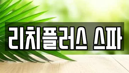 리치플러스 스파
