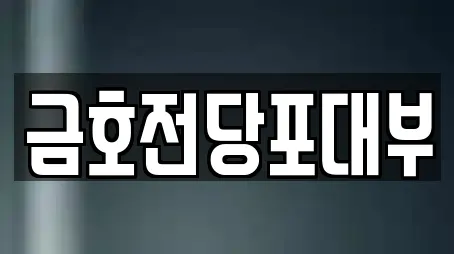 금호전당포대부