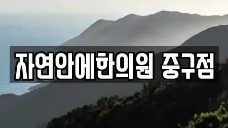 자연안에한의원 중구점