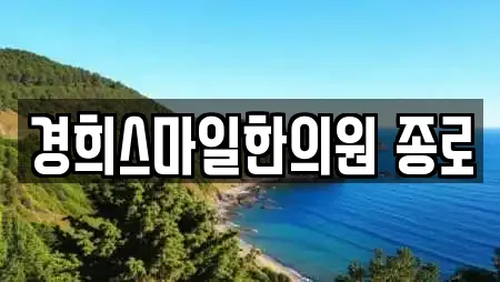 경희스마일한의원 종로