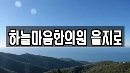 하늘마음한의원 을지로