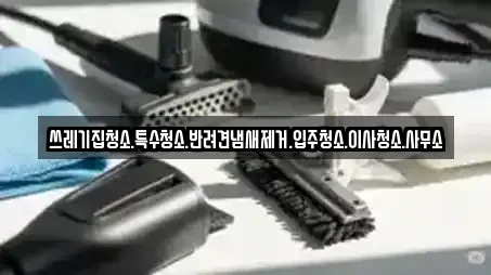 쓰레기집청소.특수청소.반려견냄새제거.입주청소.이사청소.사무소