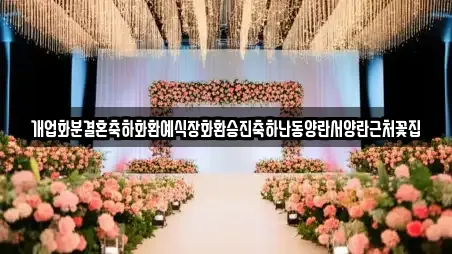 개업화분결혼축하화환예식장화환승진축하난동양란서양란근처꽃집