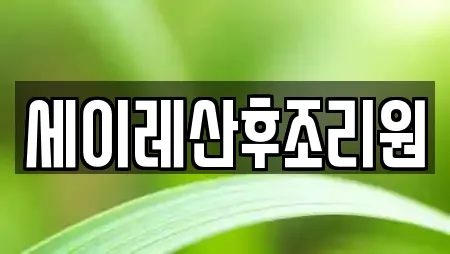 세이레산후조리원