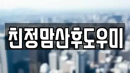 친정맘산후도우미