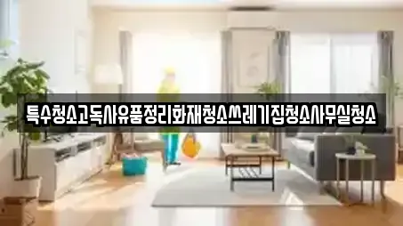 특수청소고독사유품정리화재청소쓰레기집청소사무실청소