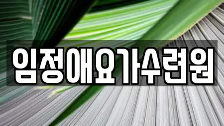 임정애요가수련원