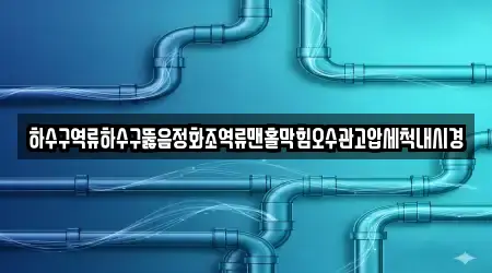 하수구역류하수구뚫음정화조역류맨홀막힘오수관고압세척내시경