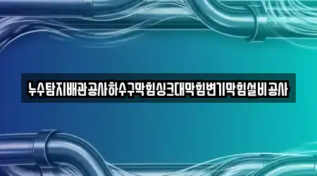 누수탐지배관공사하수구막힘싱크대막힘변기막힘설비공사