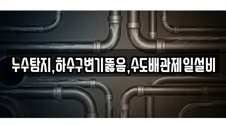 누수탐지,하수구변기뚫음,수도배관제일설비