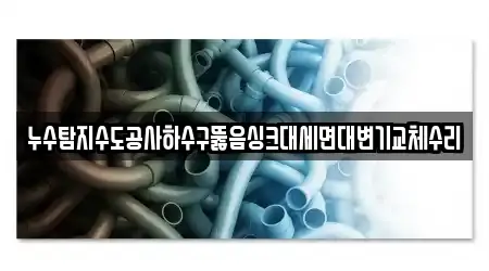 누수탐지수도공사하수구뚫음싱크대세면대변기교체수리