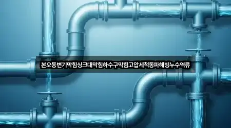 본오동변기막힘싱크대막힘하수구막힘고압세척동파해빙누수역류