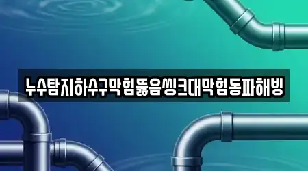 누수탐지하수구막힘뚫음씽크대막힘동파해빙