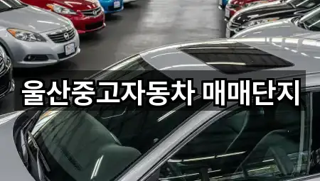 울산광역시 진장동 중고차 5곳 지도 한눈에