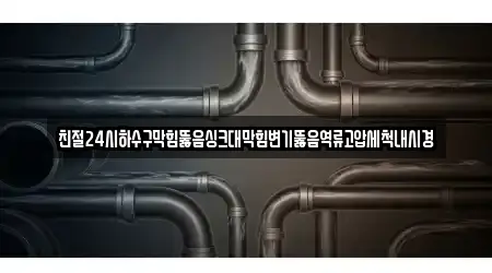 친절24시하수구막힘뚫음싱크대막힘변기뚫음역류고압세척내시경