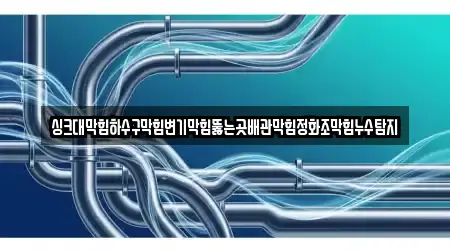 싱크대막힘하수구막힘변기막힘뚫는곳배관막힘정화조막힘누수탐지