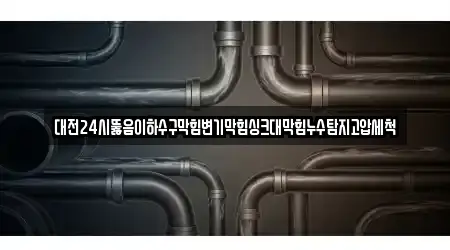 대전24시뚫음이하수구막힘변기막힘싱크대막힘누수탐지고압세척