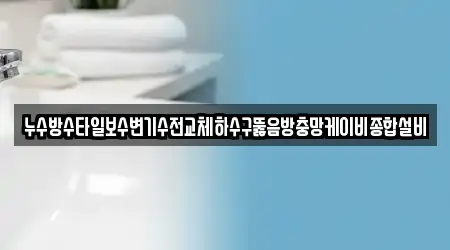 누수방수타일보수변기수전교체하수구뚫음방충망케이비종합설비