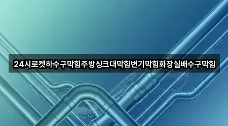24시로켓하수구막힘주방싱크대막힘변기막힘화장실배수구막힘
