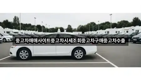 중고차매매사이트중고차시세조회중고차구매중고차수출
