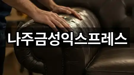 나주금성익스프레스