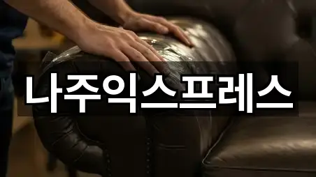 나주익스프레스