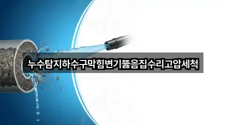 누수탐지하수구막힘변기뚫음집수리고압세척