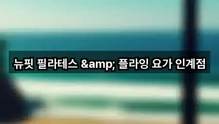 뉴핏 필라테스 & 플라잉 요가 인계점