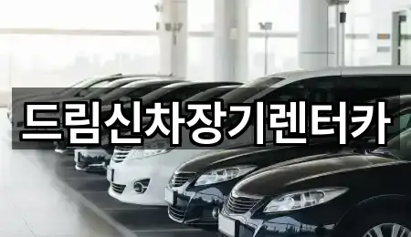 드림신차장기렌터카