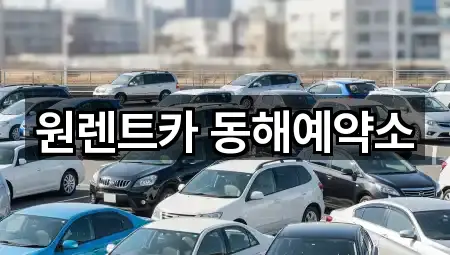 원렌트카 동해예약소