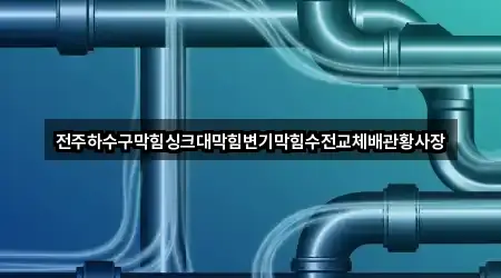 전주하수구막힘싱크대막힘변기막힘수전교체배관황사장