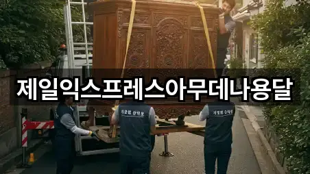 지금 주변 충청북도 충주시 교현동이사 5곳