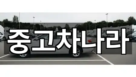 중고차나라