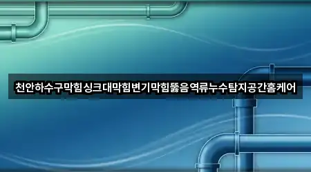 천안하수구막힘싱크대막힘변기막힘뚫음역류누수탐지공간홈케어