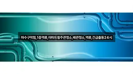 하수구막힘,1층역류,아파트횡주관청소,배관청소,역류,긴급출동24시