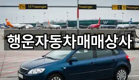 강원특별자치도 원주시 태장동 중고차 5곳 빠른 확인