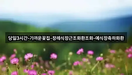 당일3시간-가까운꽃집-장례식장근조화환조화-예식장축하화환