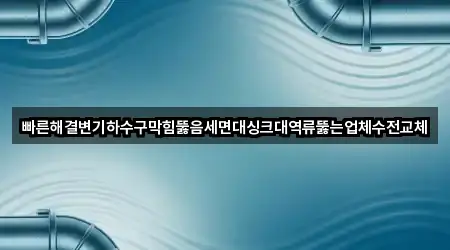 빠른해결변기하수구막힘뚫음세면대싱크대역류뚫는업체수전교체