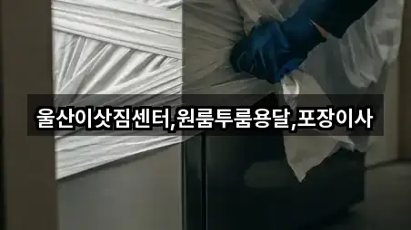 울산이삿짐센터,원룸투룸용달,포장이사